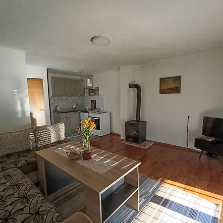 Ferienhaus Vikendica 