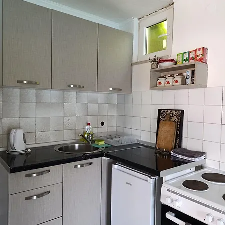 Ferienhaus Vikendica 